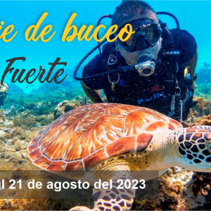 Buceo en Isla Fuerte