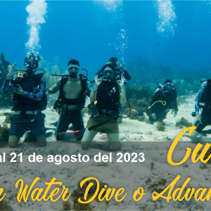 Open Water Dive o Advanced Isla Fuerte