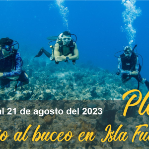 Plan Inicio al Buceo en Isla Fuerte