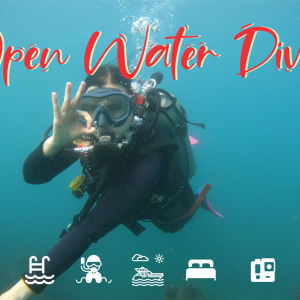 Curso open water diver, buceo en Taganga - Santa Marta, Open Water Diver, buceo Tayrona