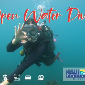 Open Water Diver, buceo en Taganga - Santa Marta Buceo en Taganga, Santa Marta Open Water Diver buceo avanzado Viajes de buceo