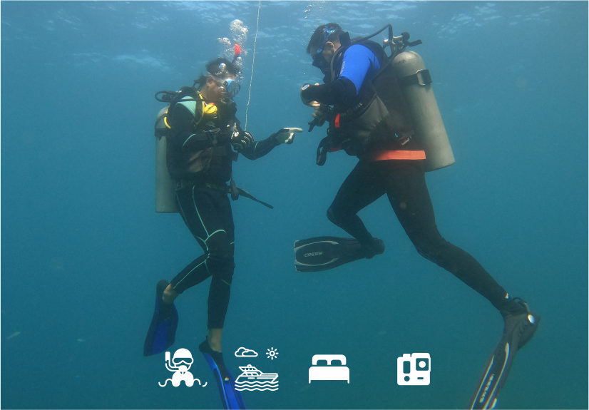 Avanzado en Aguas Abiertas Taganga. Cursos de certificación