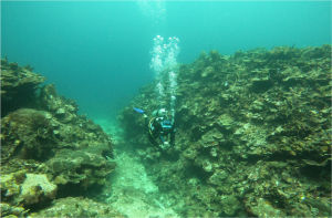 Boceo en Santa Marta - Cursos de buceo - viajes de buceo- Dive Center - open water diver - buceo Taganga