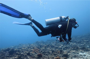 Boceo en Santa Marta - Cursos de buceo - viajes de buceo- Dive Center - open water diver