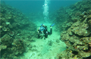 Boceo en Santa Marta - Cursos de buceo - viajes de buceo- Dive Center - open water diver - buceo Taganga