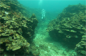 Boceo en Santa Marta - Cursos de buceo - viajes de buceo- Dive Center - open water diver - buceo Taganga